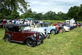 1040149_Austin 750 Rally 2015 (b)