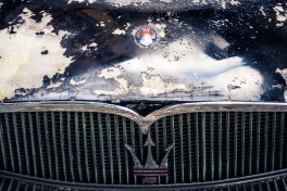 PetraSagnak_cde17_-126