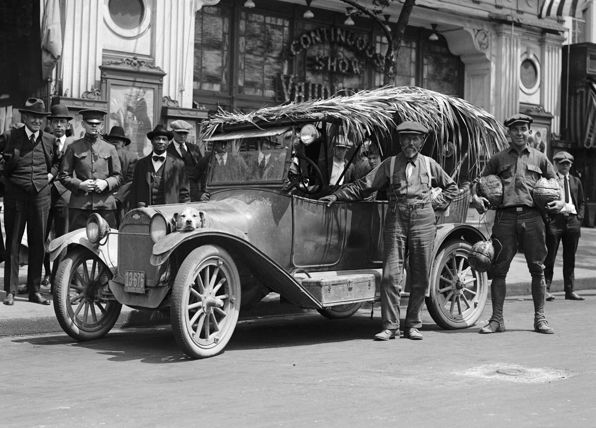 Chverolet palmas y perro slider