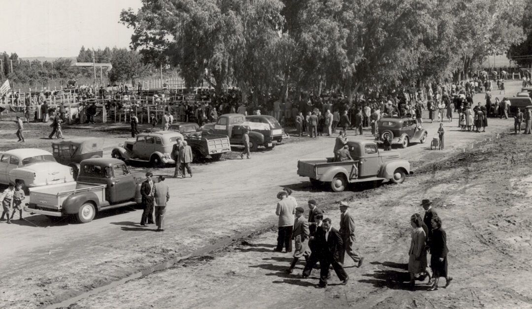 La Expo ganadera de Cardona en 1953